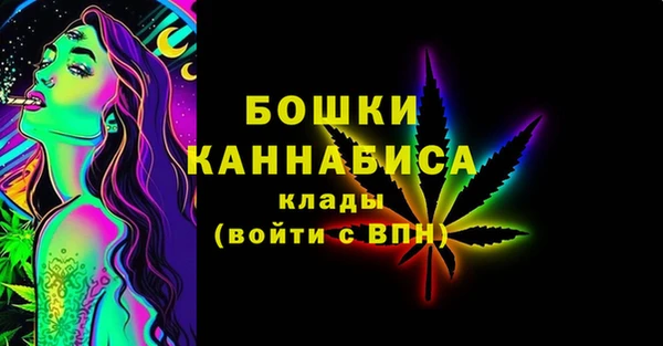 шишки Козельск