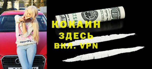шишки Козельск