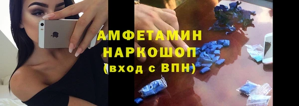шишки Козельск