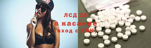 шишки Козельск