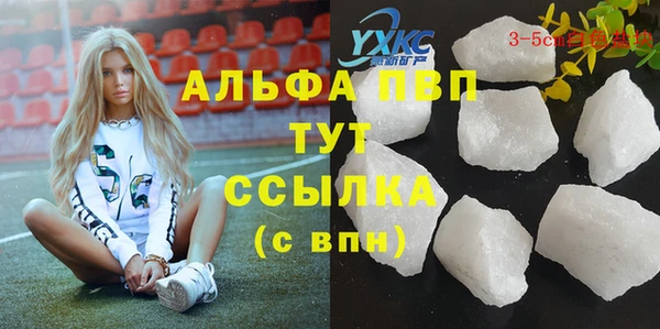 шишки Козельск