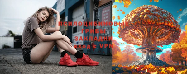 шишки Козельск