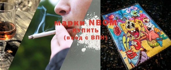 шишки Козельск