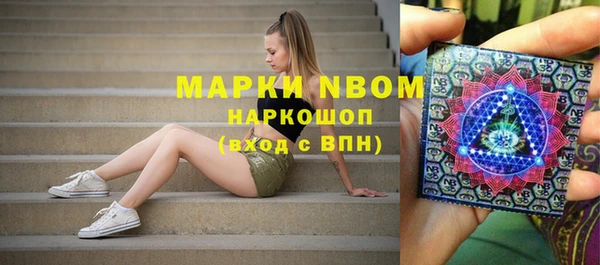 шишки Козельск