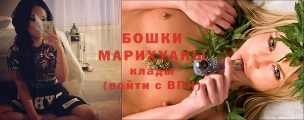 шишки Козельск